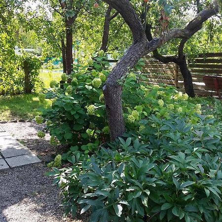 The Jolly Man 2 Apartment Вилнюс Екстериор снимка